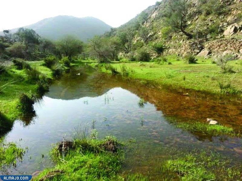 محمية وادي تربة